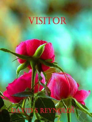 cover image of Visitor